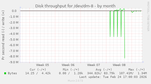 Disk throughput for /dev/dm-8